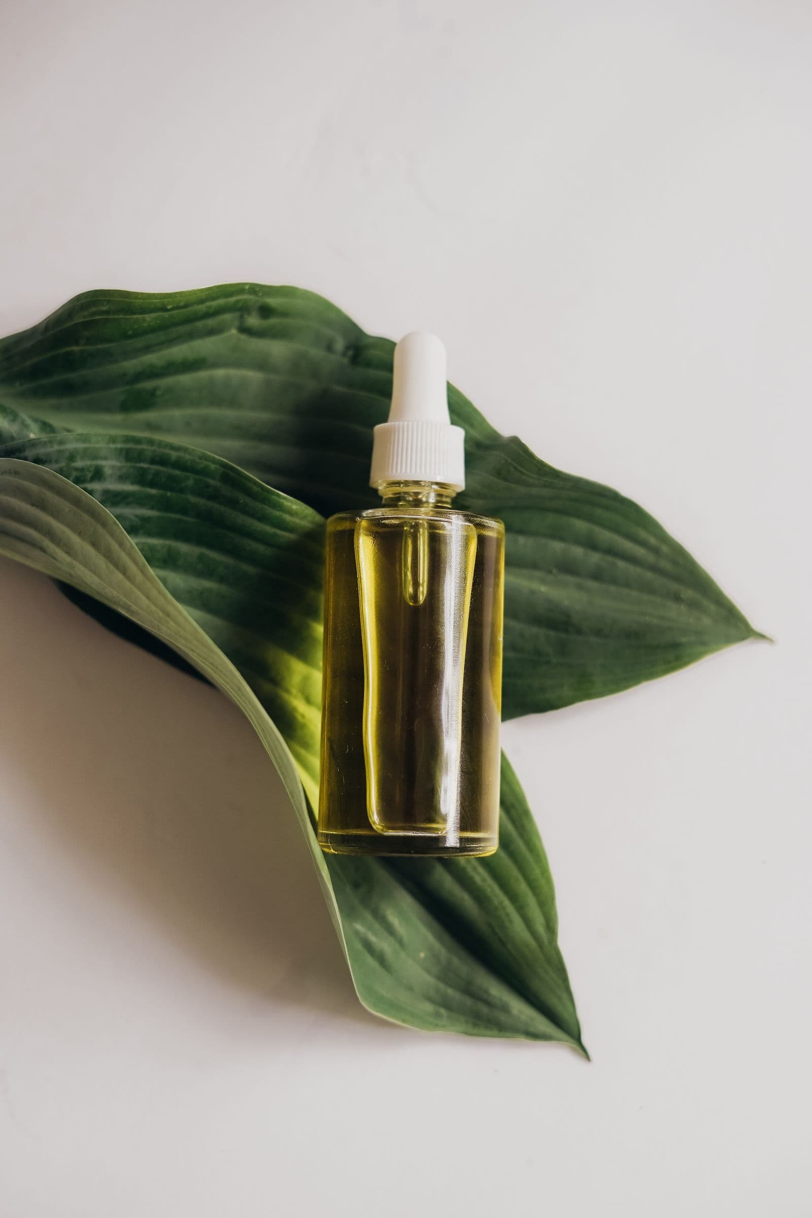 Sản phẩm dưỡng dạng serum đặt trên lá xanh trong không gian tự nhiên